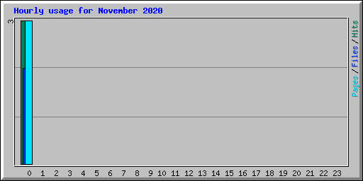 Hourly usage for November 2020